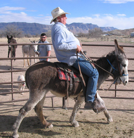 Bill Mills riding Dot at the runnign walk