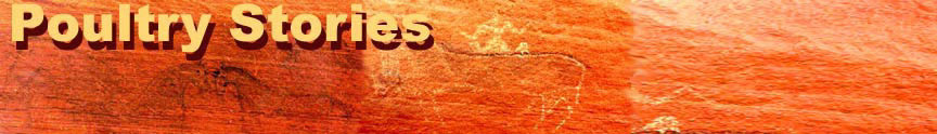 Poultry Stories