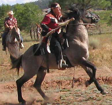 Rowdy Yates ridden by Vickie Ives